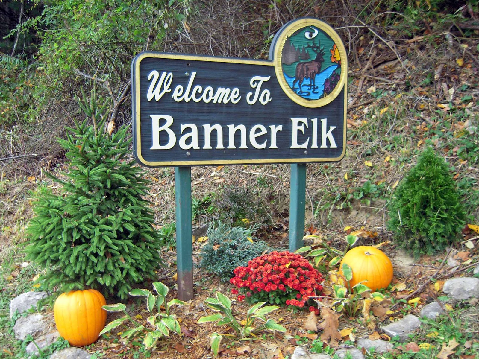 artisanal banner elk nc artisanal banner elk nc