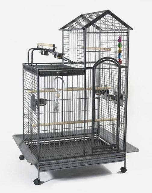 Birds Parrot Cages How To Choose Parrot Cages