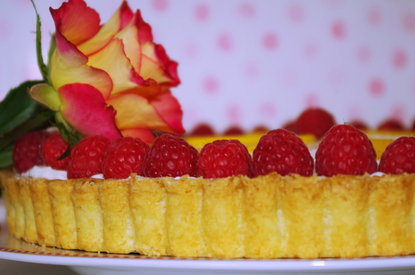 Self-Baked : Himbeer-Mango-Kokos-Tarte Self-Baked : Himbeer-Mango-Kokos-Tarte