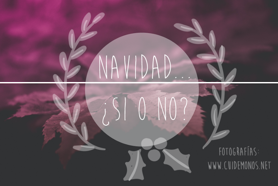 Navidad si o no