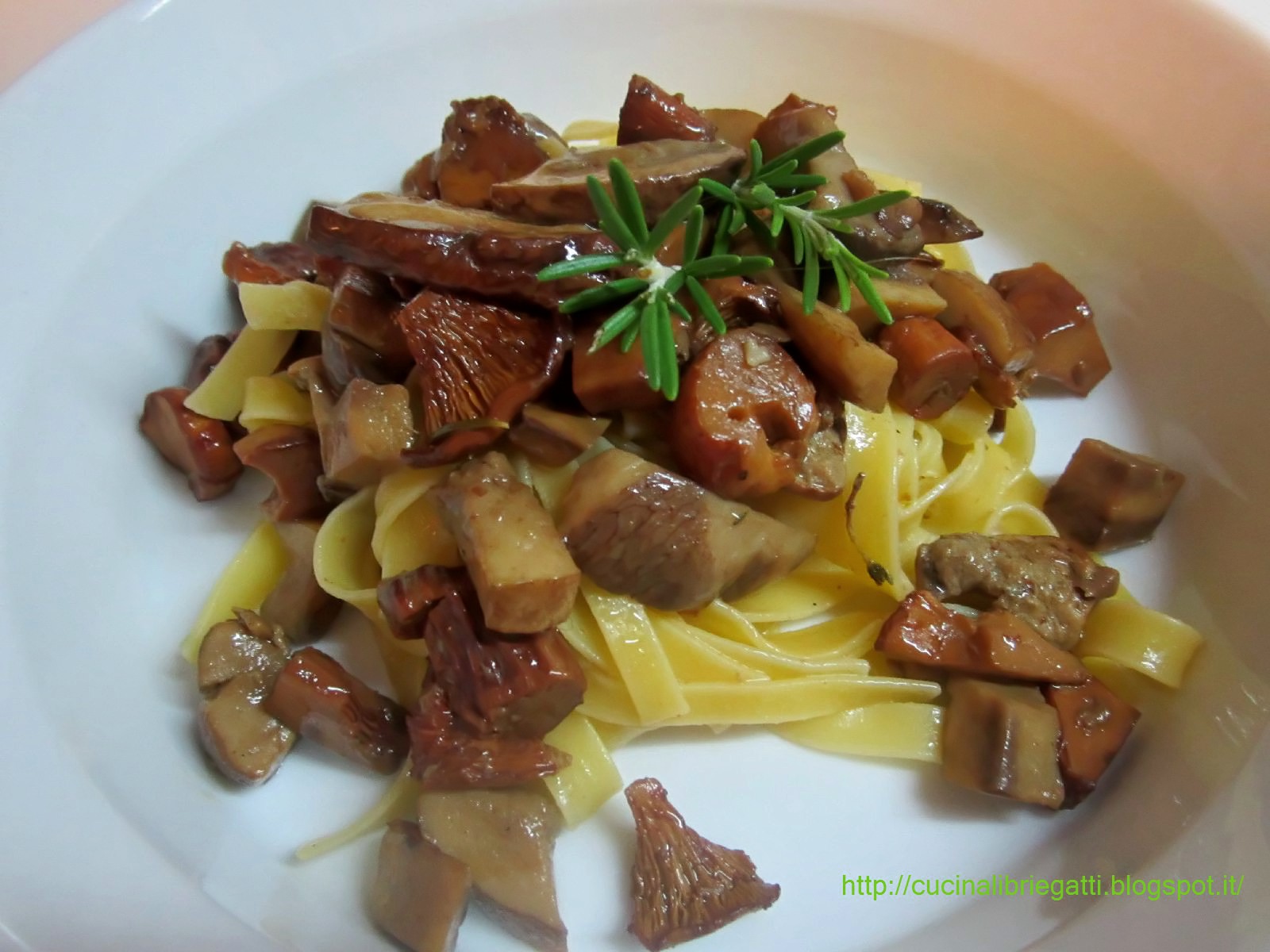 Tagliatelle funghi porcini e galletti Cucina, Libri e Gatti