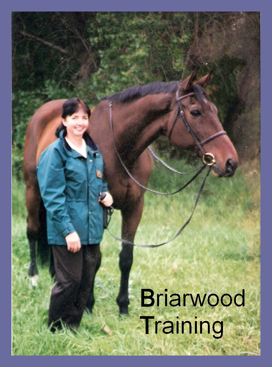 Briarwood Training