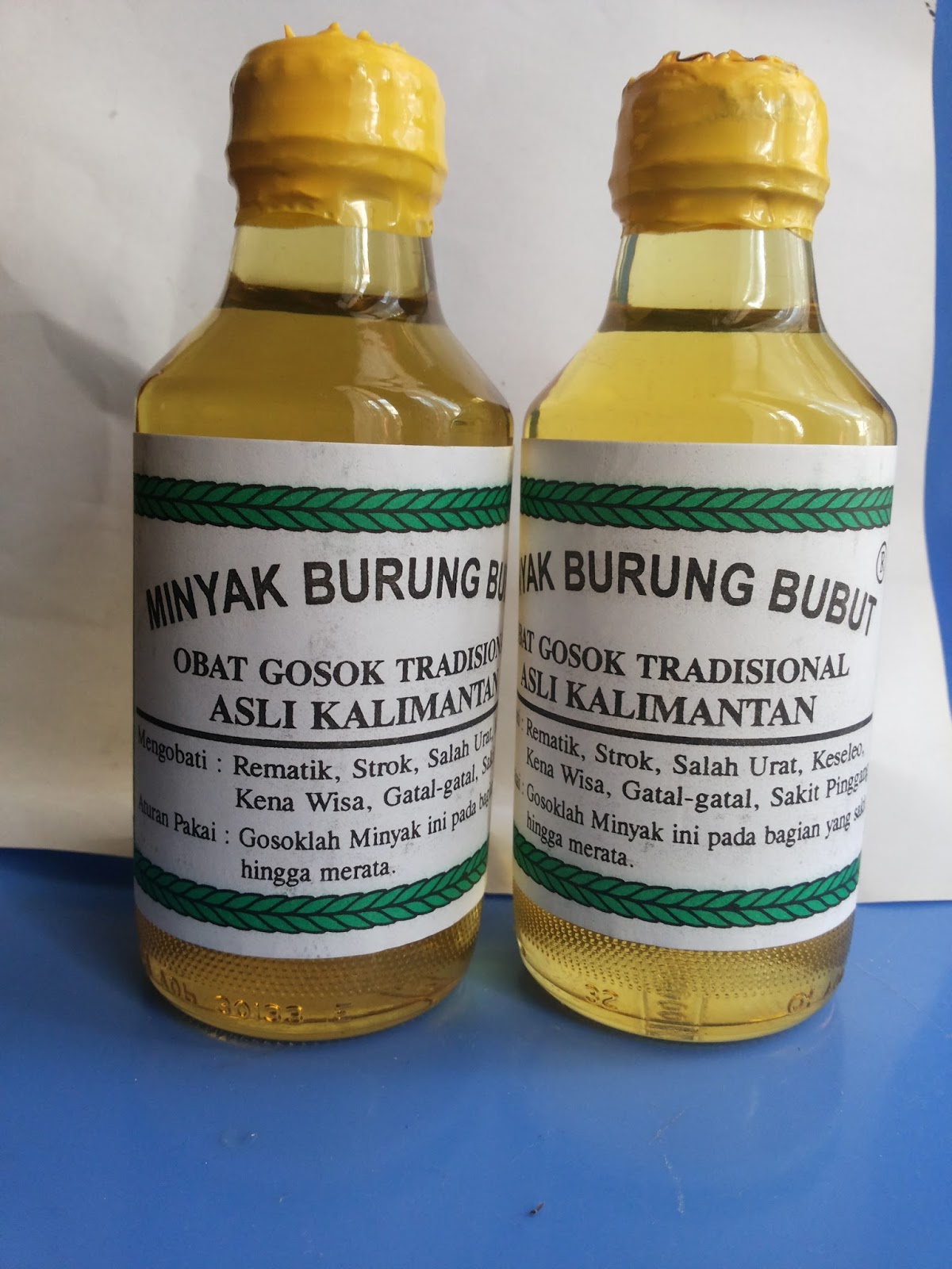 akarkalimantan: MINYAK AJAIB PENYEMBUH PATAH TULANG DARI HUTAN KALIMANTAN