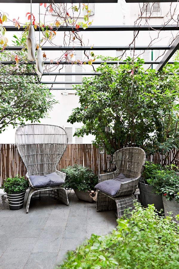 muebles terraza de ratan patio interior plantas cuidar plantas estilo nordico alquimia deco interiorista barcelona