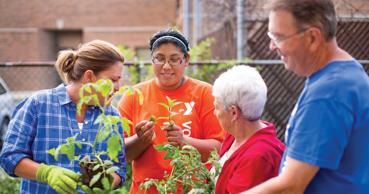 Franklin Matters Bellingham Community Garden Shares Opportunity for