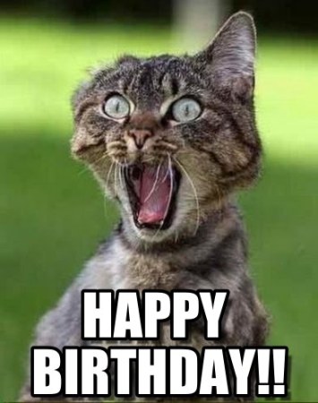 40 Best Funny and Sarcastic Happy Birthday Memes | The ...