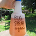 Organic Pest Control Remedies
