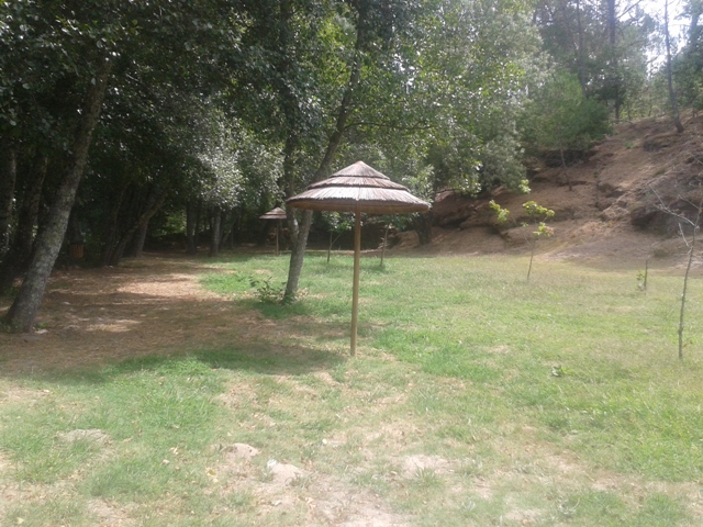 Chapéus de sol de palha Chapéus de sol de palha