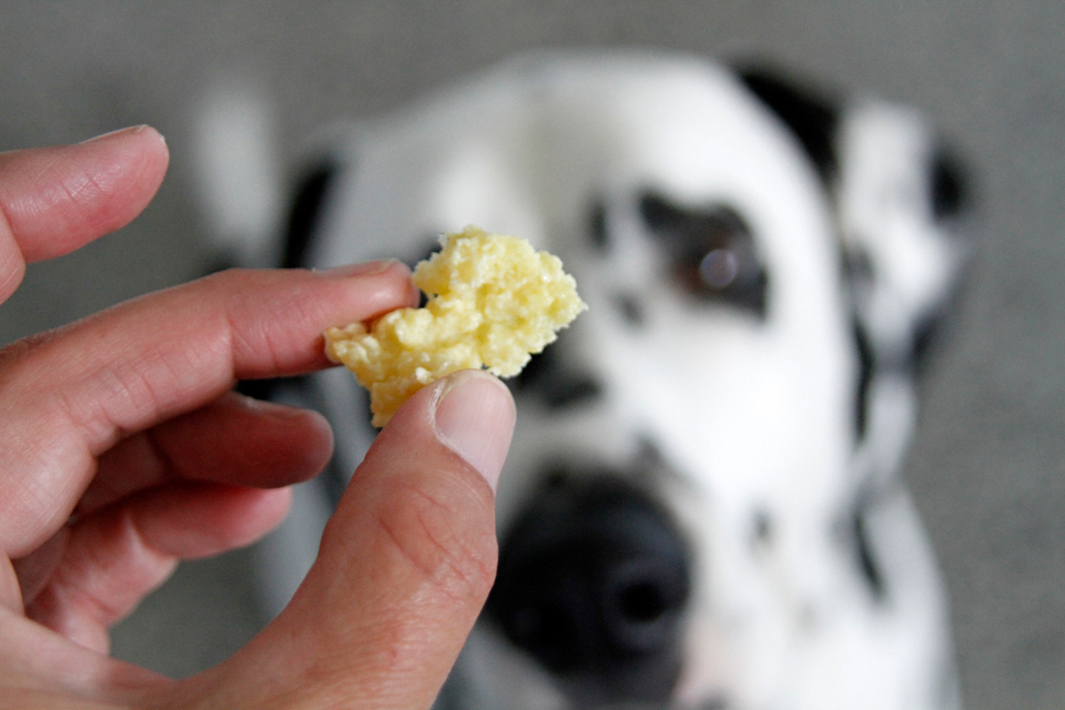 Dalmatian DIY {RECIPE} Dehydrated Cottage Cheese Dog Treats / Toppers