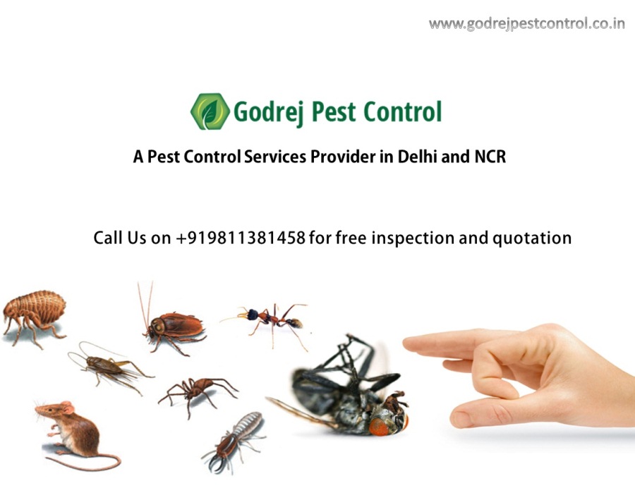 Godrej Pest Control Delhi Noida Get the best Pest Control and Termite