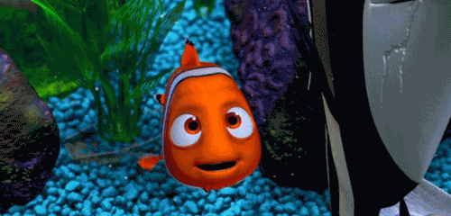 Kumpulan Animasi Ikan  Nemo  bergerak ANIMASI DAN GAMBAR  