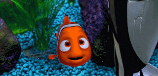 Gambar Ikan Nemo Bergerak Septian Junior Blog Animasi Lucu
