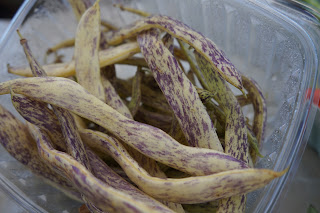Dragon Tongue Beans from Shamba Farms at the West End Farmers Market taken by Knerq
