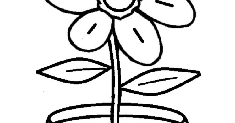 Image Result For Bunga Sesuai Image Result For Bunga Sesuai