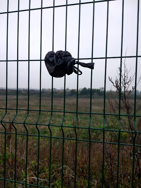 Cambridge, Cherry Hinton, Farage, Black Bag, Edgelands, Land South of Coldhams Lane, Unofficial Countryside, Bastard Countryside, Norman Works