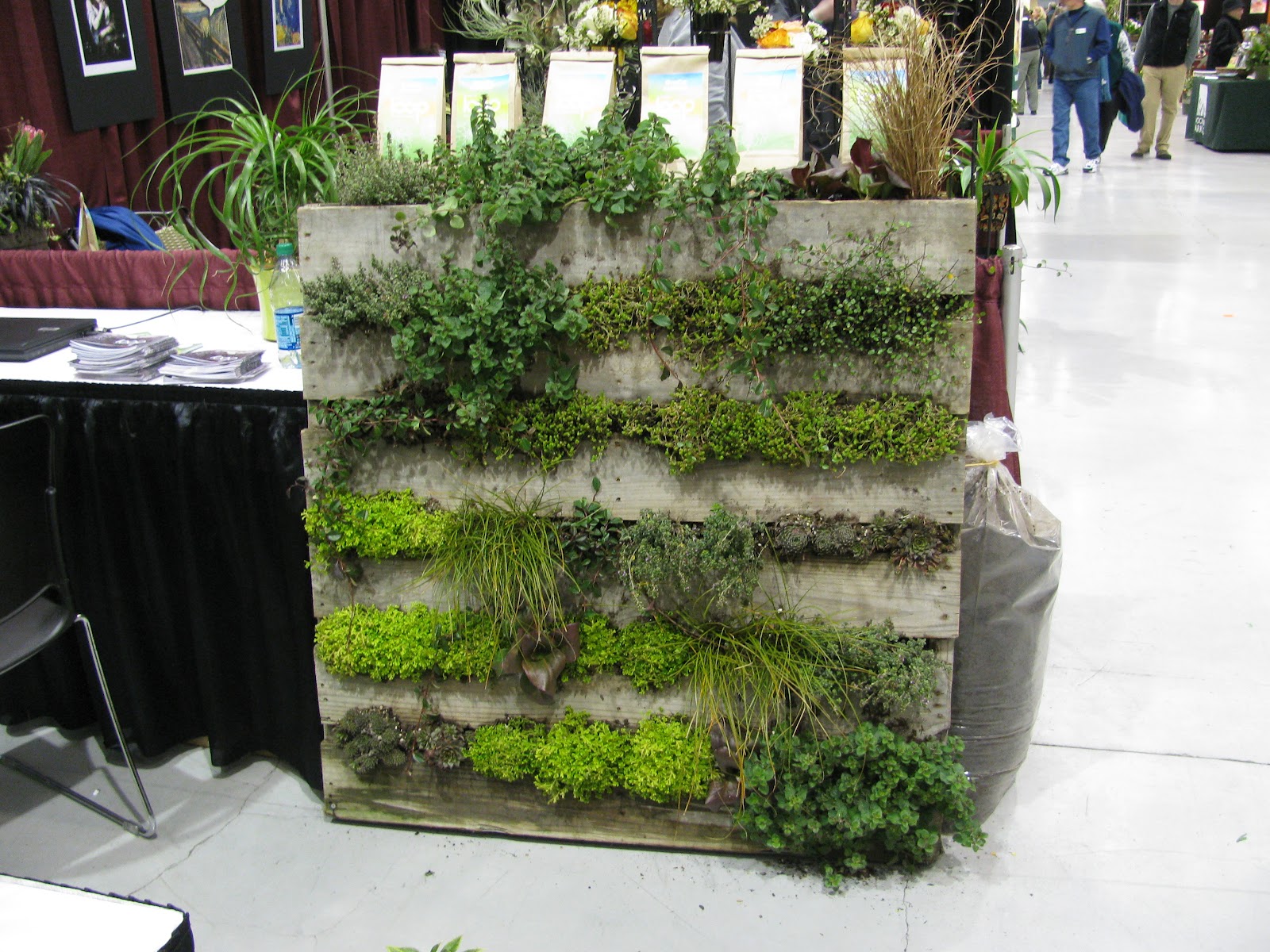 BEvolved Hawaii Wood Pallet Designs