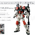 MG 1/100 GAT-X103 Buster Gundam prototype and promo images