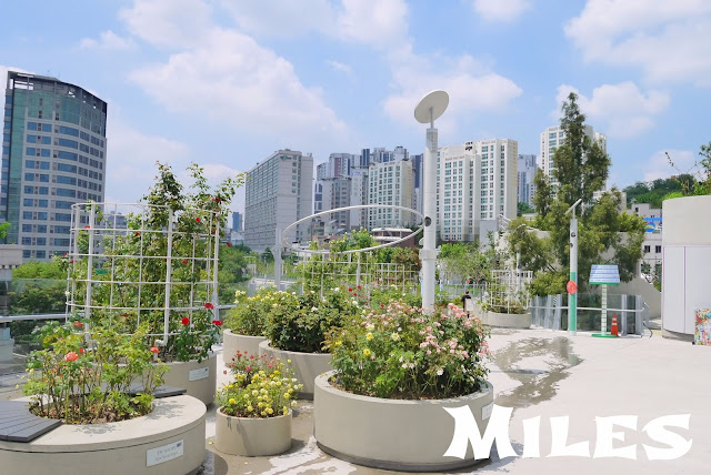 【首爾旅遊】首爾路7017@遊首爾最新玩法、市中心空中花園