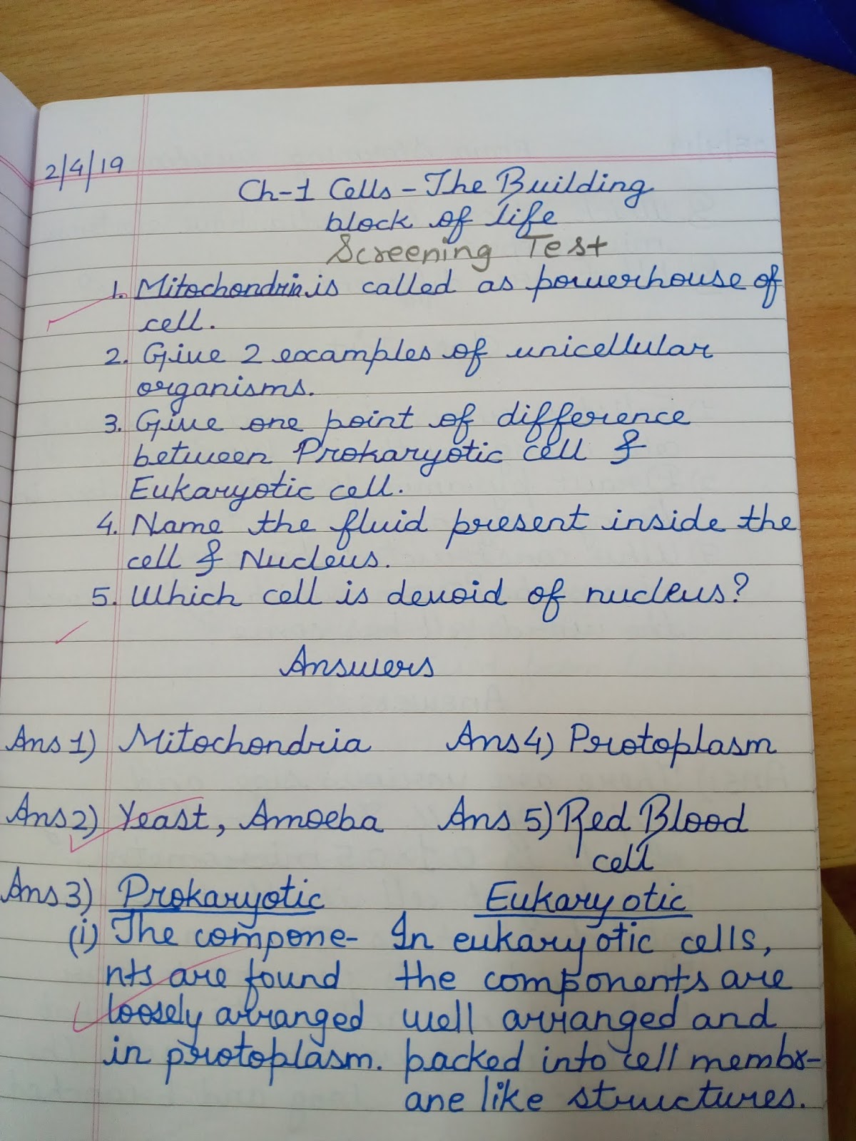 31 Cells Building Blocks Of Life Worksheet - support worksheet