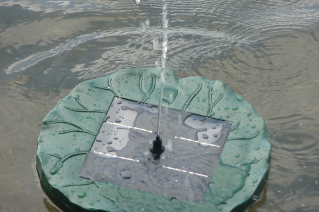 Mein Testblog Nicki testet den Duramaxx Sunfountain Garten Teich