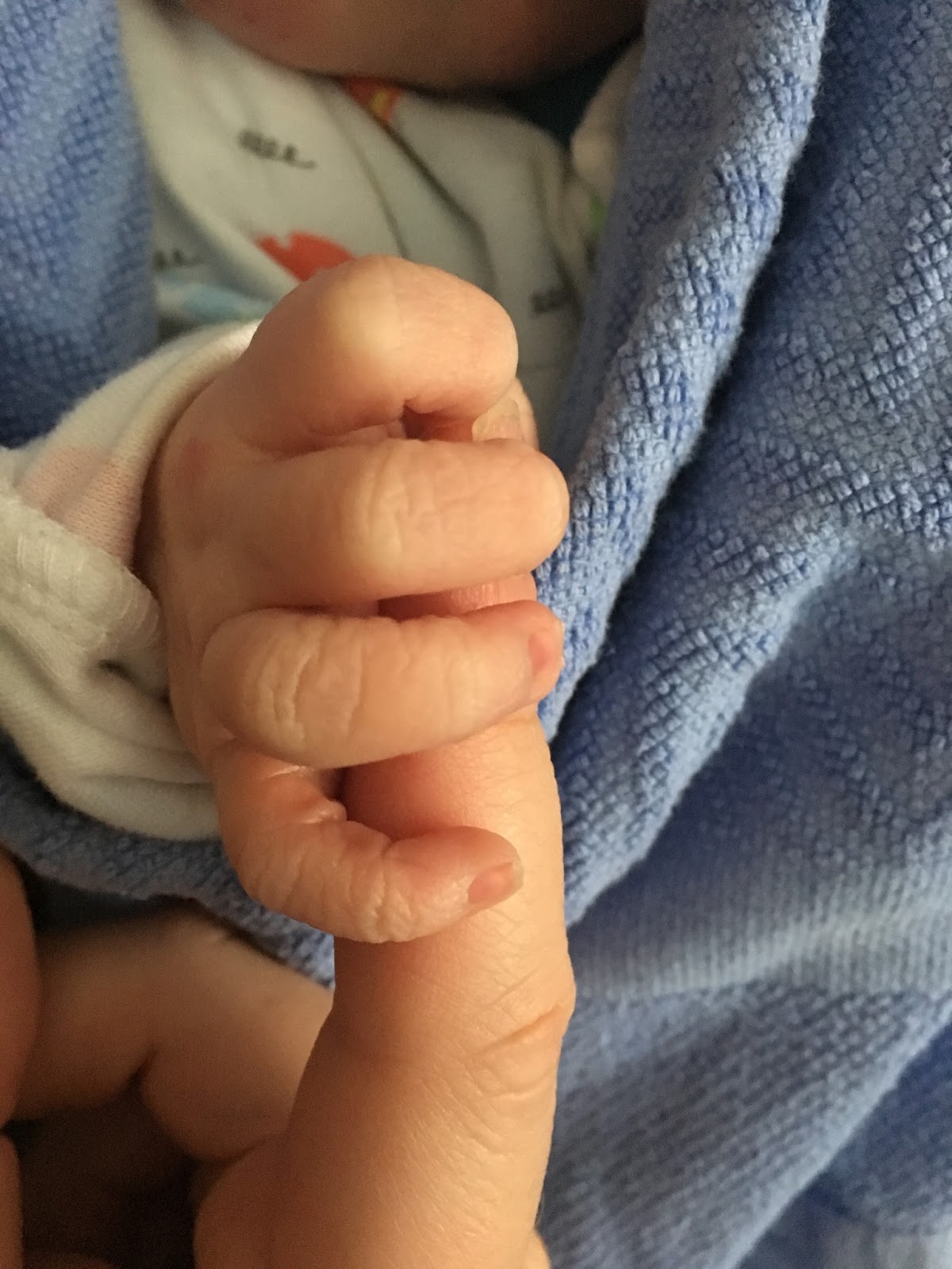 WHAT HAPPENED IN 2017 visual data 8