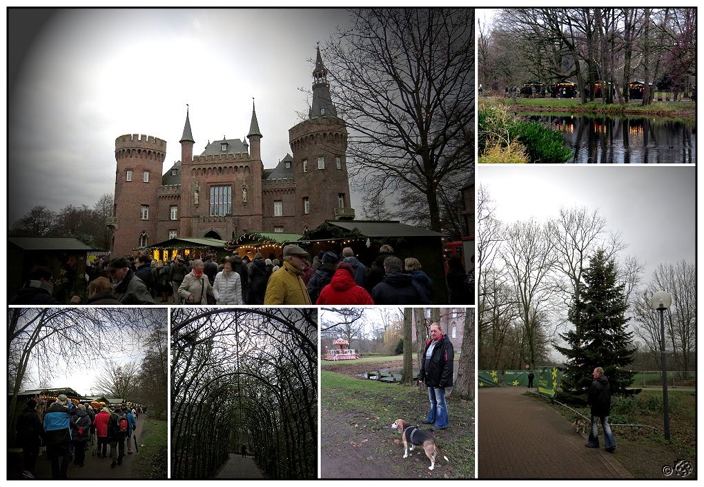 Niederrheintube August 2014