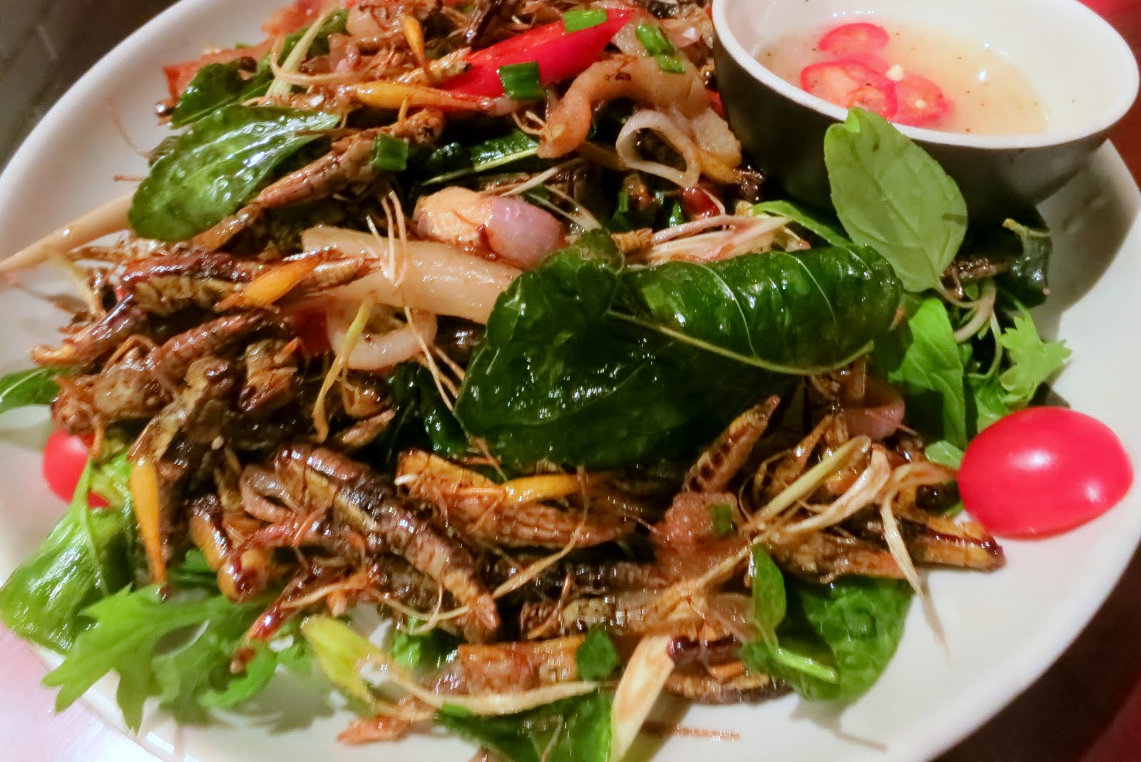 Lisa Noms! Eat insects, save the world Locusts Highway 4