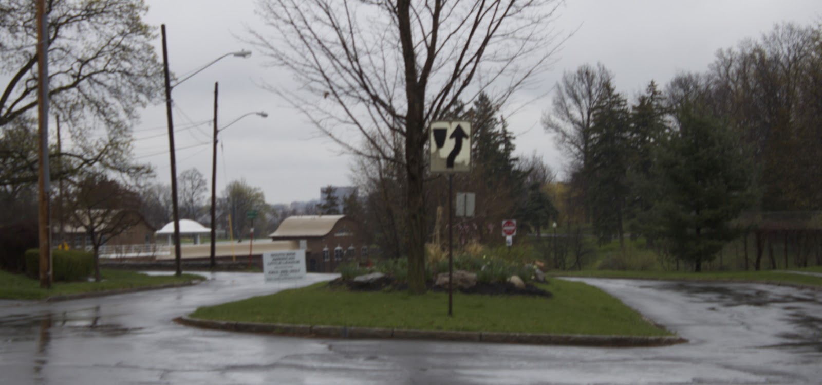 MerrySyracuse Strathmore by the Park Brochure from 1919 and Modern