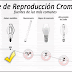 Índice de Reproducción Cromática (IRC)