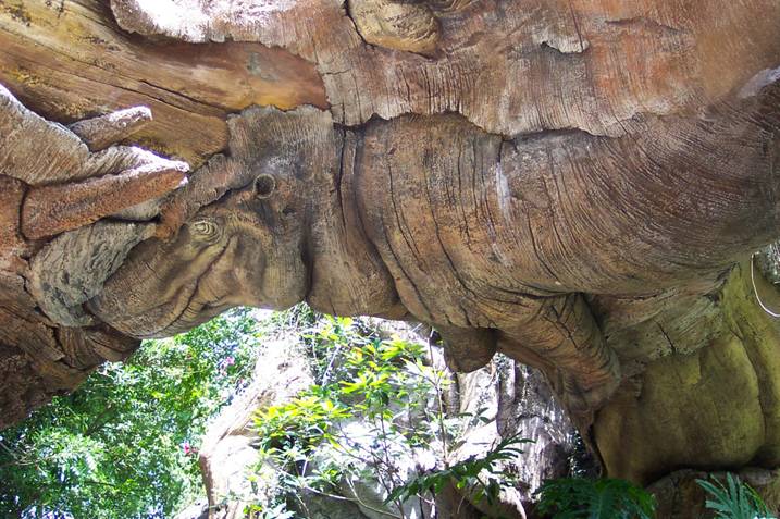 Sourish : Love to Engage, Empower and Educate !!: Amazing Tree in South ...