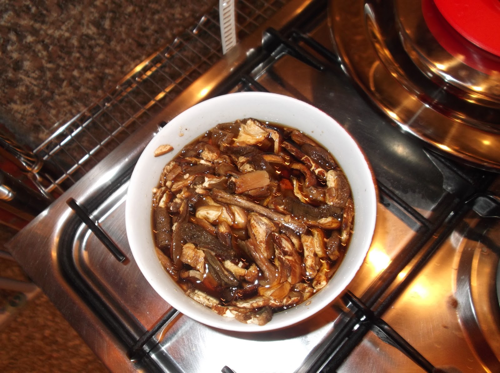 The Twin's Family Magic cooker e risotto ai funghi