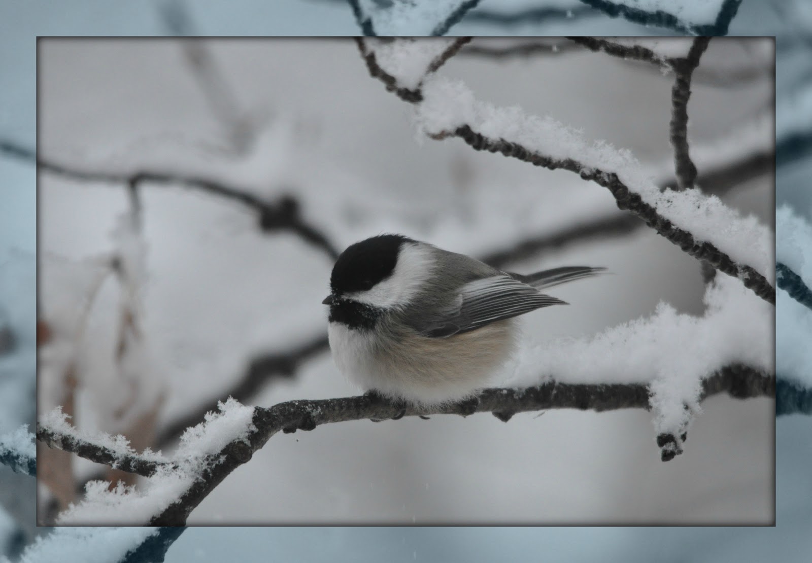 Υπάρχει-Λόγος(Εν αρχή ην ο Λόγος): Τα πουλιά του χειμώνα -Ποιήματα