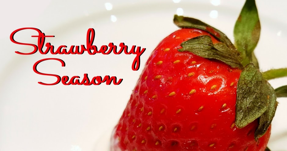 strawberry season in arkansas tie dye travels with kat robinson arkansas s most respected strawberry season in arkansas tie dye travels with kat robinson arkansas s most respected