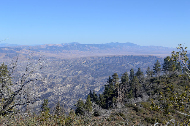 Liebre Mountain