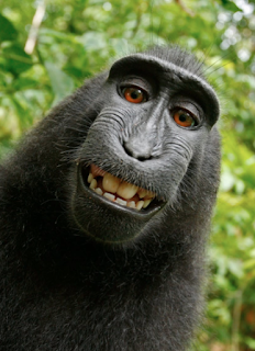 當沒有人相信你的時候