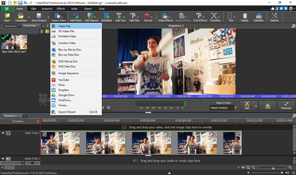 nch videopad video editor professional 3.89 nch videopad video editor professional 3.89