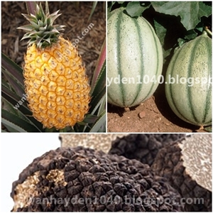 Buah-Buahan Dan Sayuran Termahal Di Jepun U5 45 Blog 