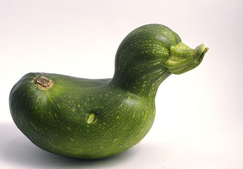 funny fruit. Funny fruit shape like a Duck