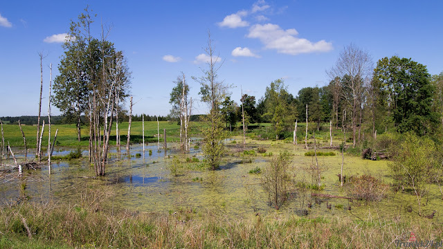 Warmia i Mazury