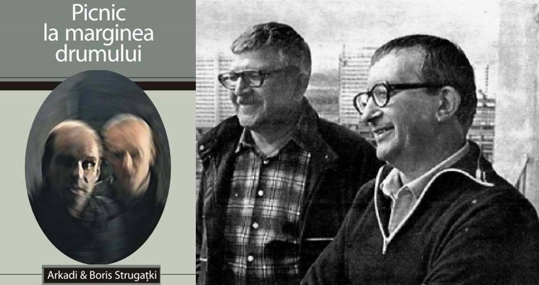 Sandu Picnic la marginea drumului (20)