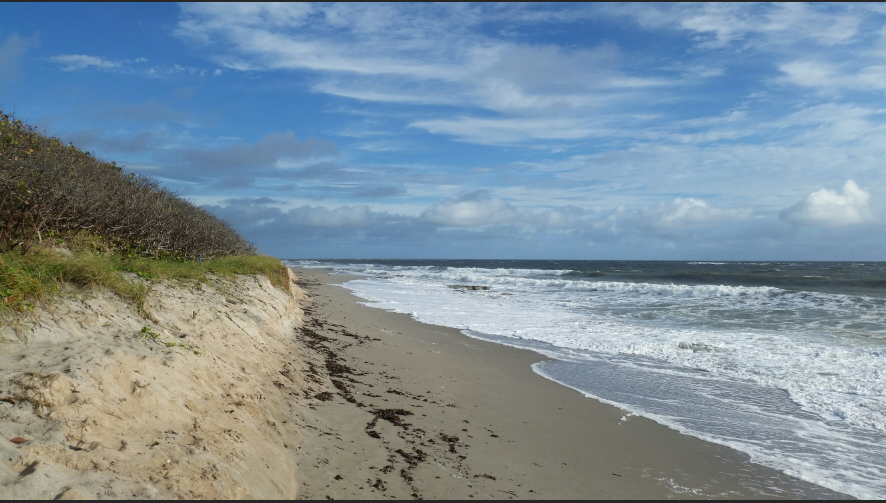 The Treasure Beaches Report Direct From Florida's Treasure Coast. 10