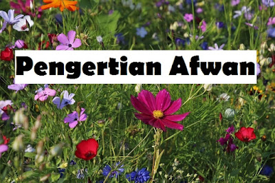 Pengertian Afwan Secara Bahasa dan Istilah afwan