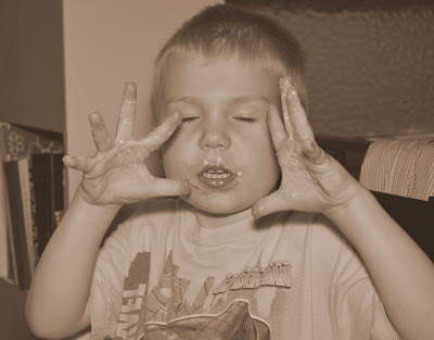 Temporary Insanity, Permanent Joy Wordless Wednesday  S'mores