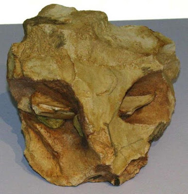 Неандерталска каменна маска? Mask-of-la-Roche-Cotard