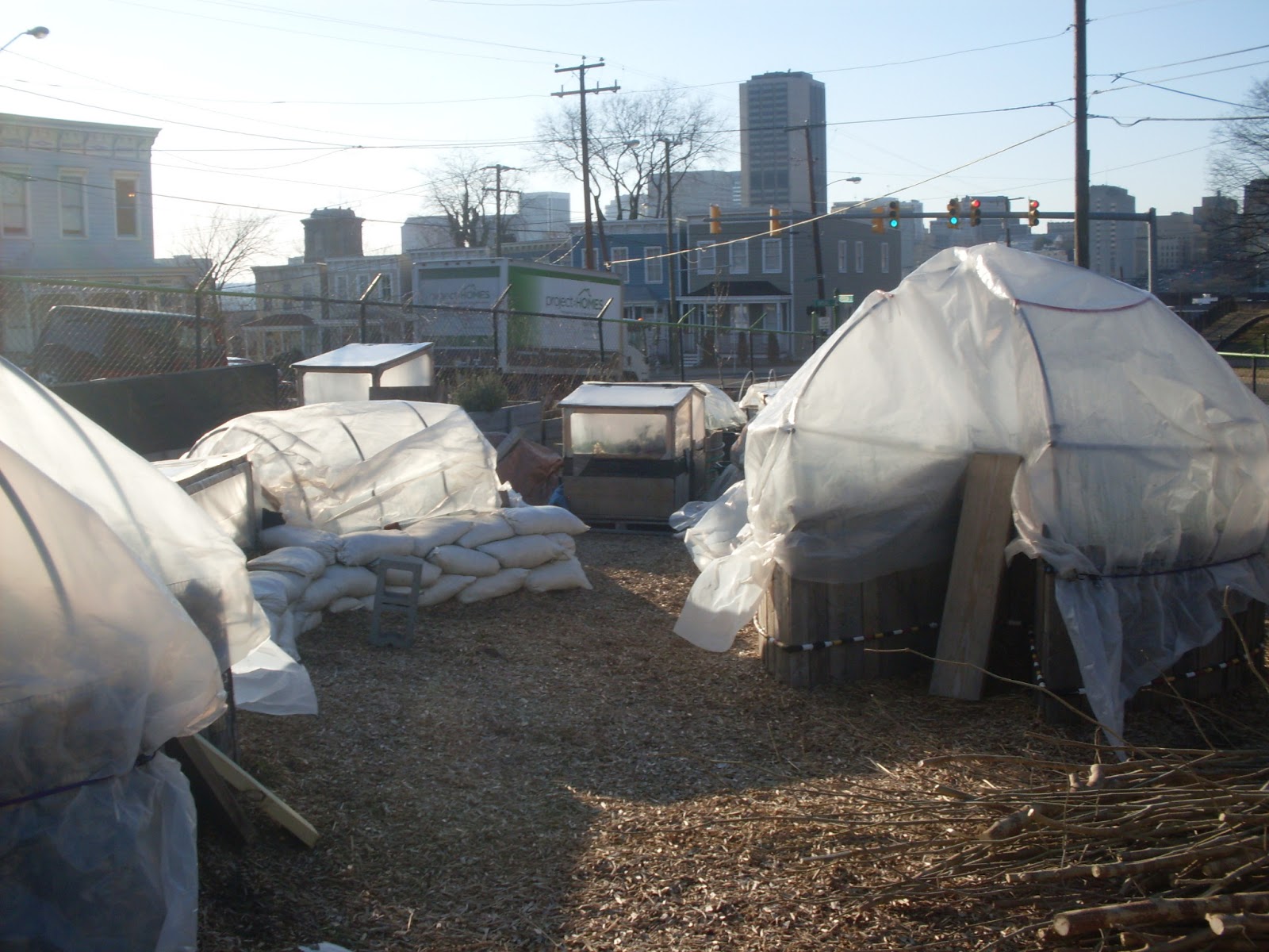 Three Sisters Garden Tricycle Gardens Headquarters