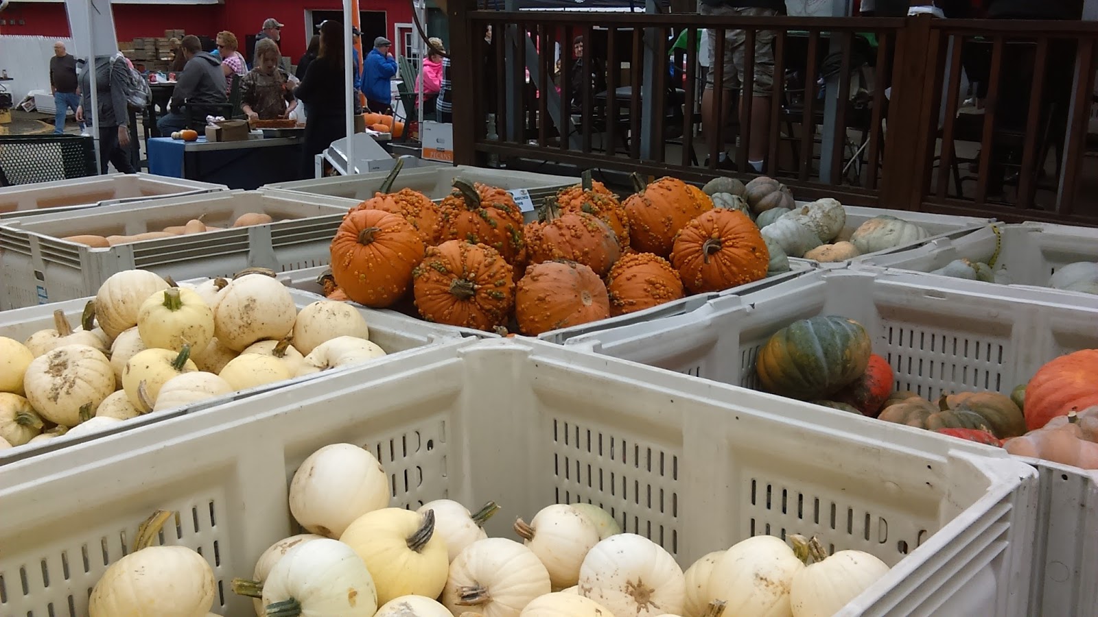 The Enchanting World Of Milady Leela Fall Festivities at Soergels Farm