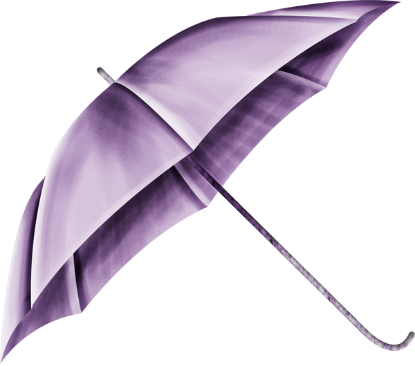 purple umbrellas