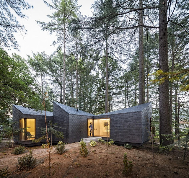 Picture of small modern house in the forest 