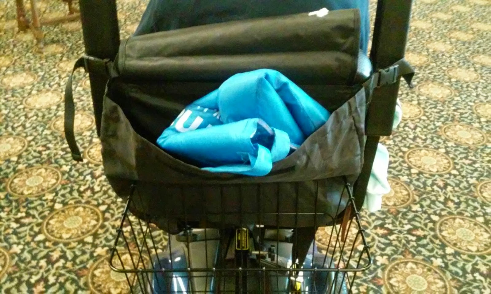 Addicted To The Allure Of Beauty... Pembrook Wheelchair Backpack Bag...