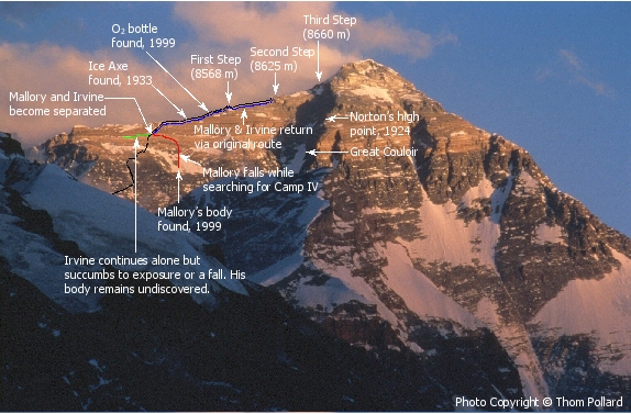 To found a company. Болгарские выпады (сплит приседания). Тренировка на степ платформе для похудения. Степ-аэробика (step aerobics). Креативная реклама школы.